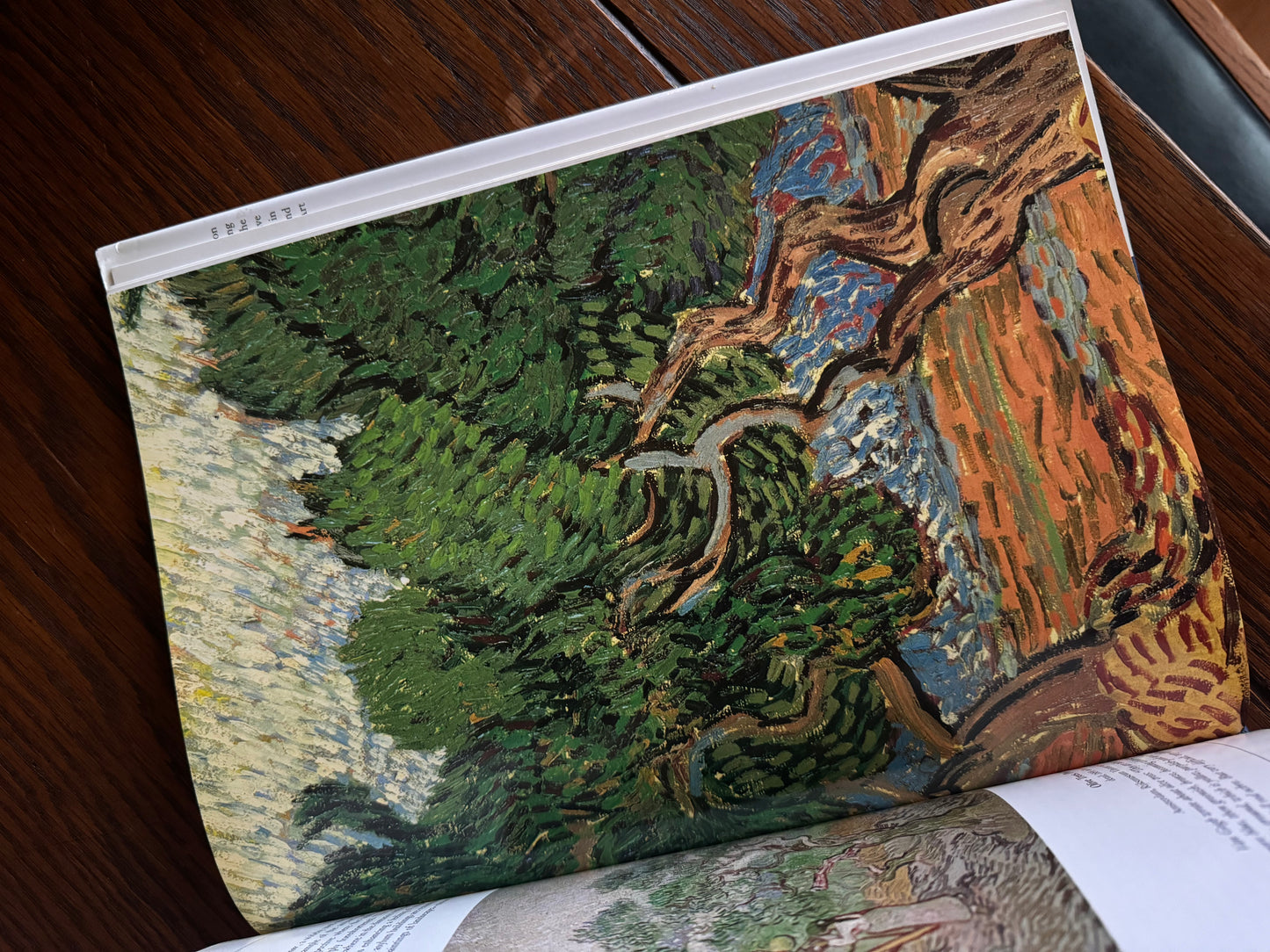 Van Gogh - an appreciation of his art