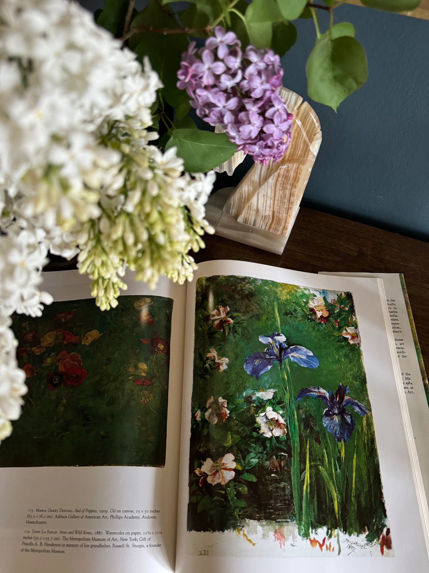 Reflections of Nature: Flowers in American art
