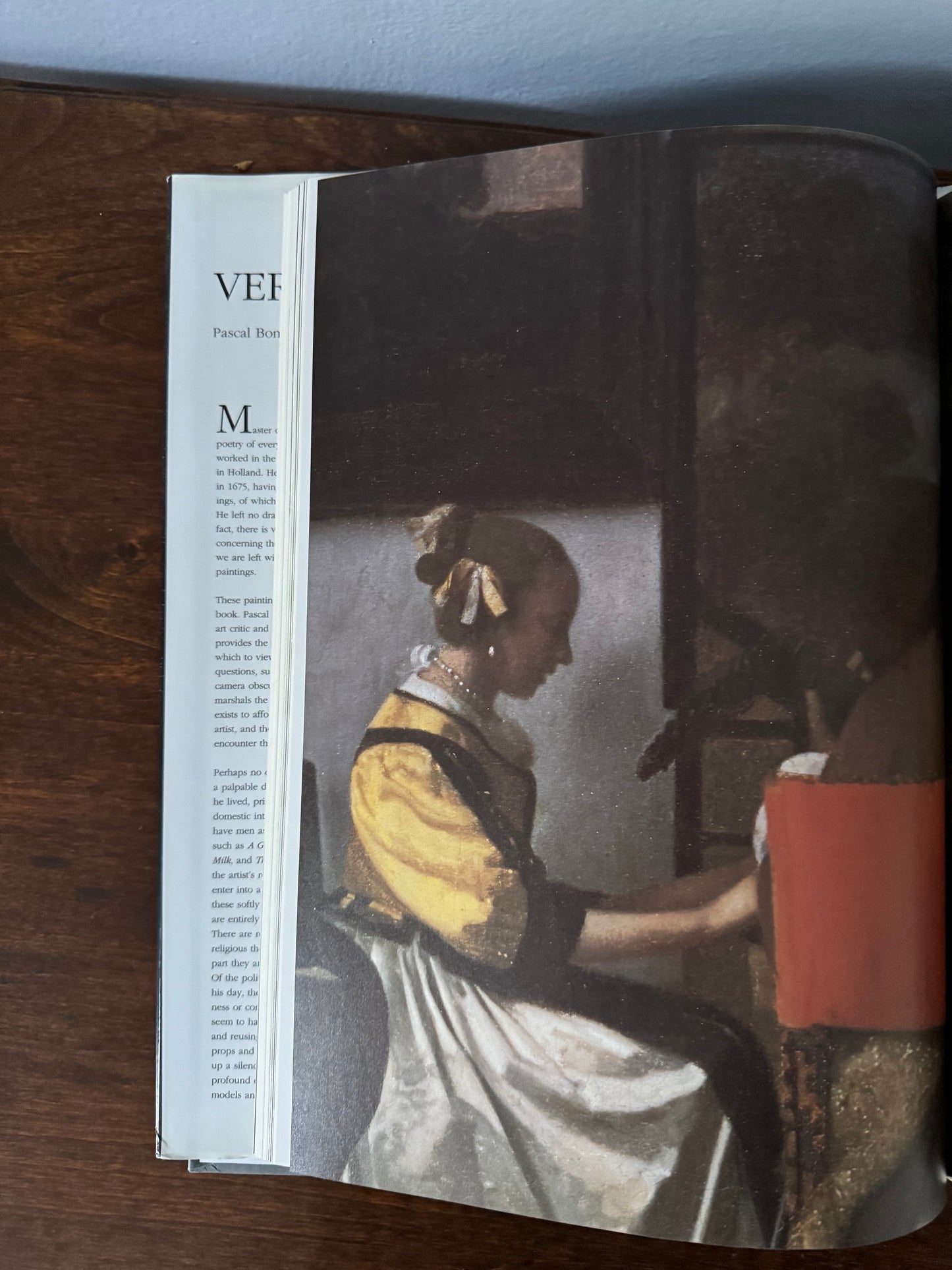 Vermeer by Pascal Bonafoux